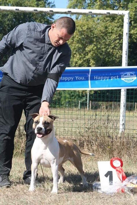 Bakaroro end itubori Béatrice